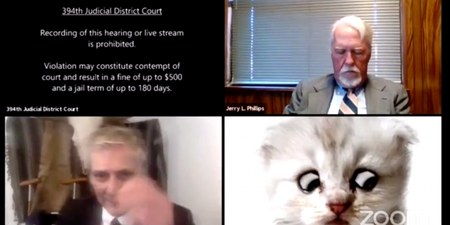 Lawyer insists he’s ‘not a cat’ after accidentally using filter on Zoom call