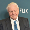 Sir David Attenborough describes the most heartbreaking moment of his 60-year career