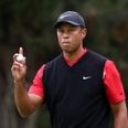 Tiger Woods taken to hospital after being pulled from car after collision in Los Angeles