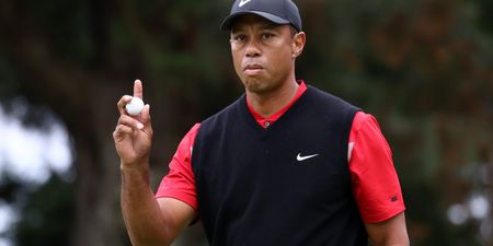 Tiger Woods taken to hospital after being pulled from car after collision in Los Angeles