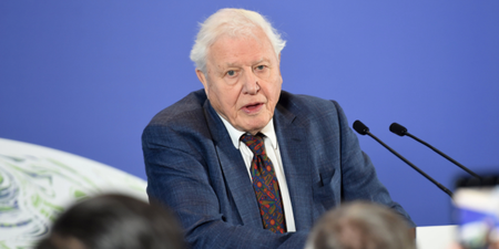 Sir David Attenborough’s warning about climate change is ‘overly simplistic’, says scientist