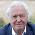 Sir David Attenborough urges politicians to work together to end climate crisis