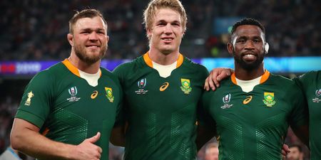 Springbok star Pieter-Steph du Toit up for UK Lions Tour “challenge”