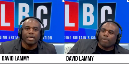 David Lammy passionately dismantles report which says UK is ‘model on race’