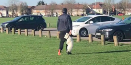 RSPCA searching for man seen carrying dog by collar in park