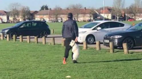 RSPCA searching for man seen grabbing a dog by the collar