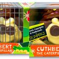 Aldi take stand on ‘caterpillar cruelty’ with limited edition charity Cuthbert cake
