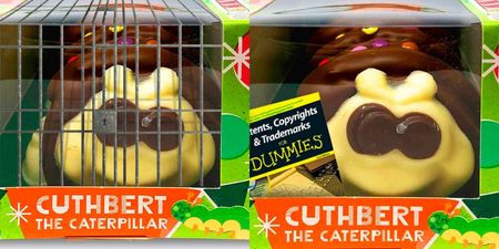 Aldi take stand on ‘caterpillar cruelty’ with limited edition charity Cuthbert cake