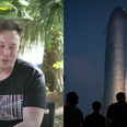 Elon Musk admits ‘a bunch of people will die’ during first Mars voyage