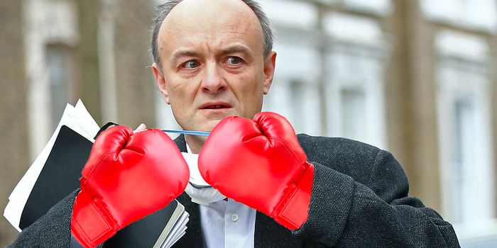 Dominic Cummings with a pair of boxing gloves photoshopped over his hands to appear as though he is ready to fight