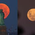How to get the best view of the pink supermoon across the UK tonight