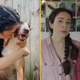 YouTuber Nikki Phillippi criticised for putting down ‘aggressive’ family dog