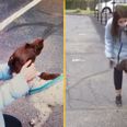 TV reporter rescues stolen dog live on air while reporting on its theft