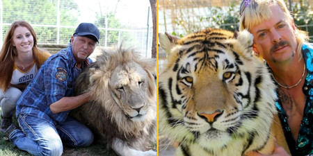 Big cats seized from zoo belonging to Tiger King star Jeff Lowe