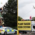 Eight animal rights protesters charged after McDonald’s blockade