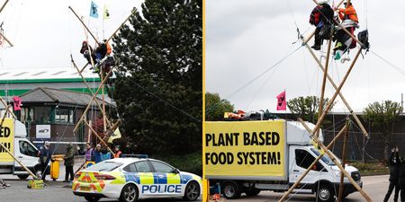 Eight animal rights protesters charged after McDonald’s blockade