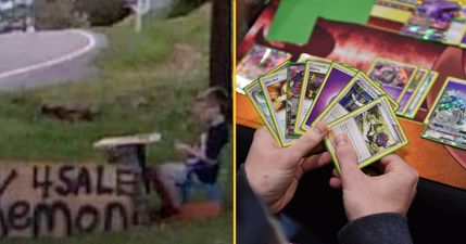 Pokémon sends rare cards to boy who sold his collection to save his dog