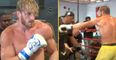 Logan Paul training footage proves he has no chance against Mayweather