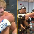 Logan Paul training footage proves he has no chance against Mayweather