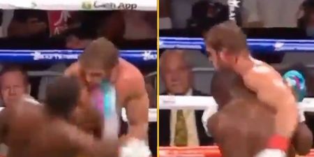 Mayweather actually ‘knocked out’ Logan Paul but ‘held him up’ during fight