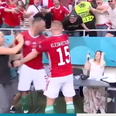 Hungary pull out ‘celebration of the tournament’ after opener against France