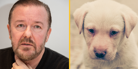 Ricky Gervais lobbies for ban on all animal experiments in UK