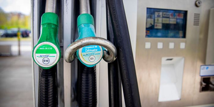 E10 green petrol to be rolled out in September