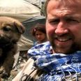 Kirstie Allsopp brands Pen Farthing’s Afghanistan pet rescue a ‘betrayal’