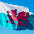 People demand dragon on Welsh flag be given a penis