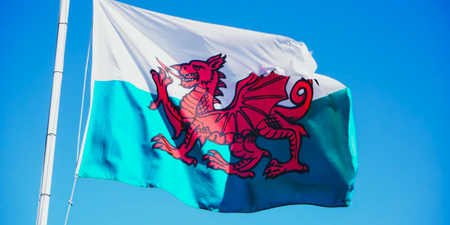People demand dragon on Welsh flag be given a penis