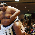 Sumo wrestler says drinking beer every day is the secret to his success