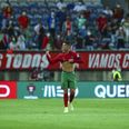 Irish fans think Ronaldo should’ve been sent off for ‘slap’ on defender