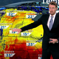 Weather reporter’s dog walks on screen during live broadcast