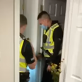 Woman screams so loud at a spider that five police officers show up at her door
