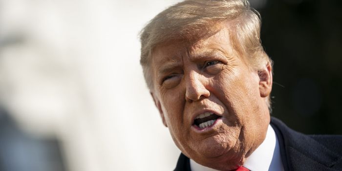 Trump says he would fight Biden in a boxing match