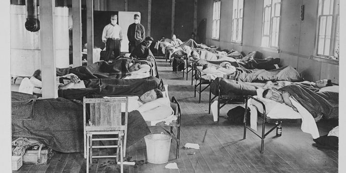 Covid-19 has now killed as many American as Spanish Flu