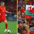Wales FA reveals plan to transform national side into one of ‘world’s great footballing nations’