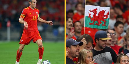 Wales FA reveals plan to transform national side into one of ‘world’s great footballing nations’