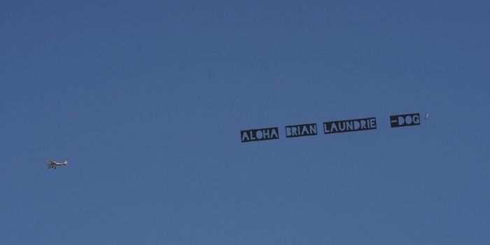 Dog the Bounty Hunter flies banner addressed to Brian Laundrie