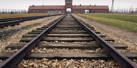 Anti-Semitic graffiti found at Auschwitz death camp