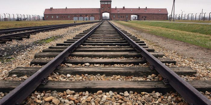 Anti-Semitic graffiti discovered at Auschwitz