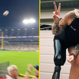 Woman catches home run ball in prosthetic leg during amazing baseball game moment