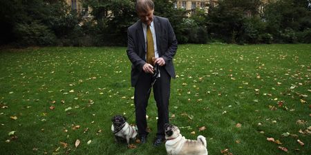 BREAKING: Conservative MP Sir David Amess dies after being stabbed ‘multiple times’