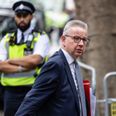 Michael Gove mobbed on the street as police rush to protect him from ‘freedom protestors’