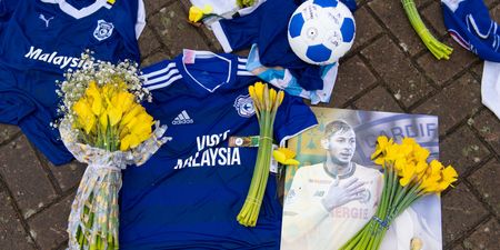 Pilot who crashed plane that killed Emiliano Sala was ordered not to fly