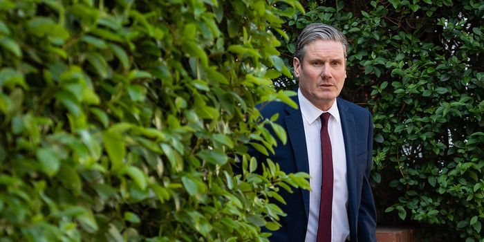 Keir Starmer, who has been savaged by Dominic Cummings in his latest blog post, peers around from behind a bush