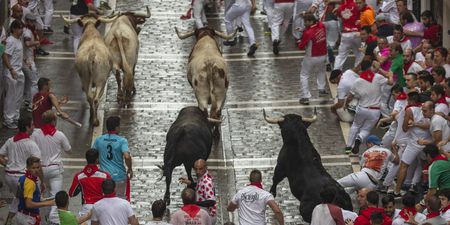 Man dies after being gored at bull-running event in Spanish city