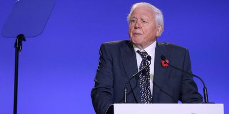 David Attenborough has viewers in tears with powerful COP26 speech
