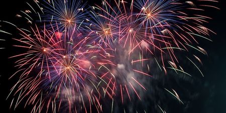Petition to restrict fireworks to protect pets gets 800,000 signatures