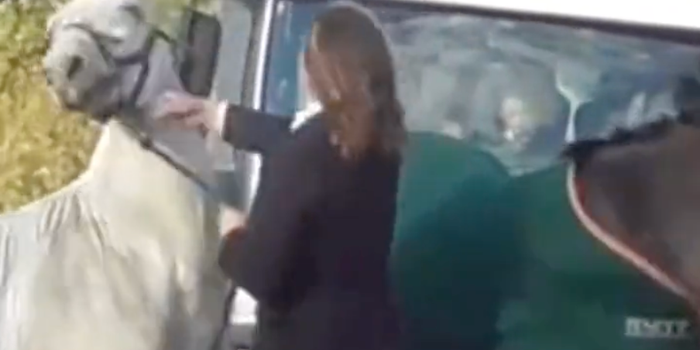 Woman filmed beating and kicking a horse